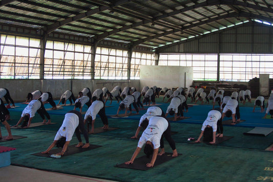 Beginner Class Sessions